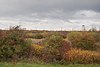 West Thurrock Marshes