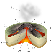 Hawaiian eruptions build up shield volcanoes.