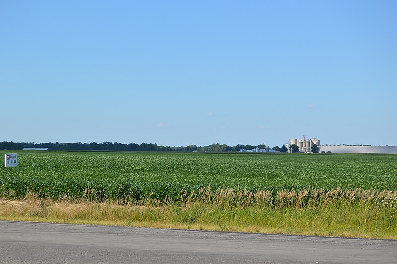 File:Jackson Township south of Amboy.jpg