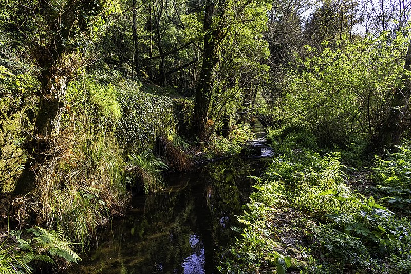 File:Río Orxas.jpg