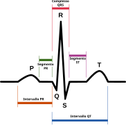 SinusRhythmLabels-it.svg