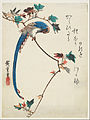 Утаґава Хіросіґе. «Блакитна сорока на гілці японського клена», Художній музей Фрір