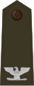 Colonel