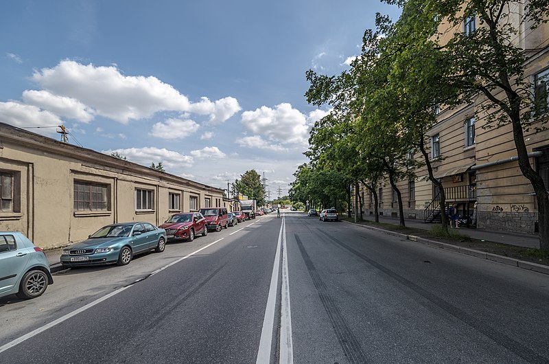 File:Vozrozhdeniya Street SPB 01.jpg