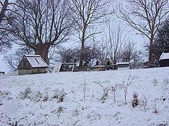 Chickens in the snow - geograph.org.uk - 2216566.jpg