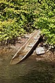 * Nomination Dugout canoe, Pfahlbaumuseum Unteruhldingen, Lake Constance. --Llez 14:39, 19 August 2016 (UTC) * Promotion You are way ahead of time. According to your information, you took the photo on July 10, 2017. Desontdanks good quality.--Famberhorst 15:34, 19 August 2016 (UTC) Thanks for promotion. The photo was taken July 10, 2017 at 16:47 (see metadata); the upload was today (August, 19). --Llez 16:39, 19 August 2016 (UTC) Note: It must be July 10, 2016 at 16:47.--Famberhorst 16:59, 19 August 2016 (UTC)  Done Sorry, correction done --Llez 17:14, 19 August 2016 (UTC)