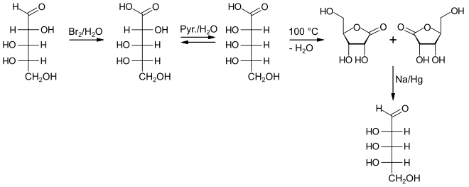 Synthese von L-Ribose nach Oskar Piloty