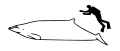 תמונה ממוזערת לגרסה מ־13:30, 20 במאי 2007