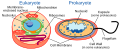 Miniatura per a la versió del 13:44, 22 gen 2024