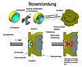 Vorschaubild der Version vom 17:16, 9. Jan. 2020