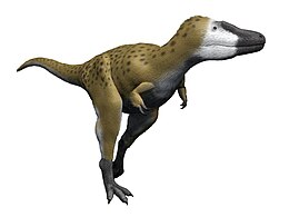 A Nanotyrannus rekonstrukciója