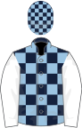 Dark blue and light blue check, white sleeves