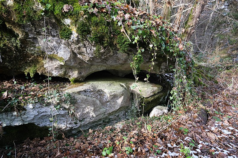 File:Bloc erratique @ Bois de la Bidaille @ Scientrier (51725129062).jpg