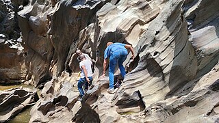 Touristes au parc national de la Bénoué