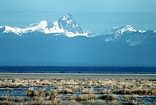 Flat wetlands of brown grass with snowy peaks in the background