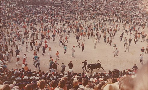 After the encierro in Plaza de Toros, in 1968