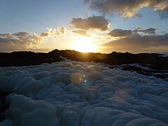 Sea foam near Yachats