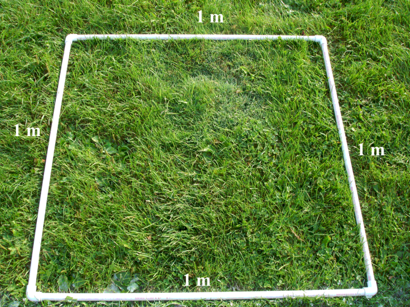 File:SquareMeterQuadrat.png