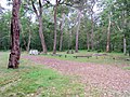 Campground at Wadbilliga National Park