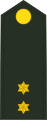 1e Luitenant (Royal Netherlands Army)[19]