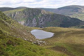 View north to Benleagh