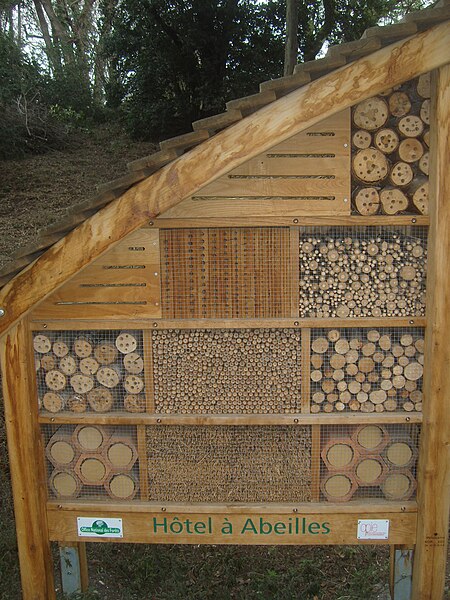 File:Paris 5e - Jardin des plantes - Hôtel à abeilles 1.JPG