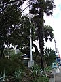 Petone railway station 03.JPG