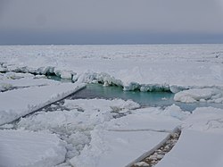 Morski led v Rossovem morju