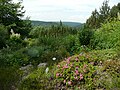 In de botanische tuin van Schellerhau