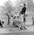 Two women walking a great dane in High Park in Toronto