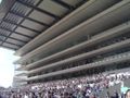 Tokyo Racecourse in western Tokyo, Japan