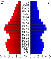 Bevolkingspiramide Silver Bow County