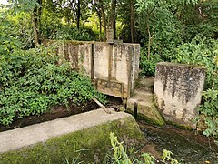 2021-07-11 Spaziergang in Kürnach 06.jpg