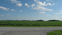 Fields in central Blanchard Township