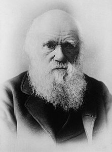 Evrim teorisi ile tanınan İngiliz doğa tarihçisi Charles Darwin (d. 12 Şubat 1809 - ö. 19 Nisan 1882)'in portresi (resmin arkasında "1879" yazısı bulunmaktadır.) (Üreten: Bain News Service)