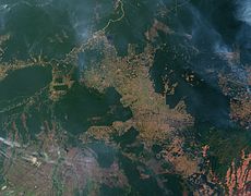 حرائق وإزالة الغابات في ولاية روندونيا