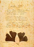 Poema de Goethe sobre el Ginkgo biloba.