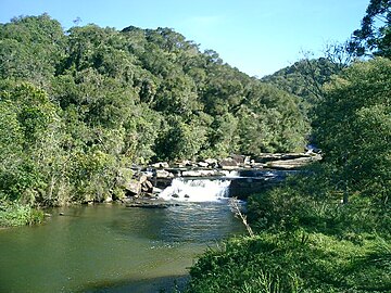 Reka Parajbuna Paulista