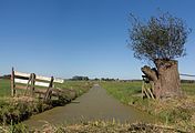 between Ameide and Meerkerk, ditch in the polder