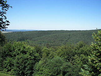 Blick vom Christenberg über den Gerhardsberg im Burgwald zum Rothaargebirge (mit dem Bollerberg) im Hintergrund