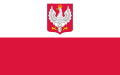 ?独立時の商船旗（1919年～1928年）