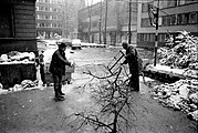 Cutting branches from Sarajevo's trees—often at risk of being sniped—as fuel for stoves to heat water and provide occasional meagre warmth. Winter brought freezing indoor temperatures, often even colder than outside.