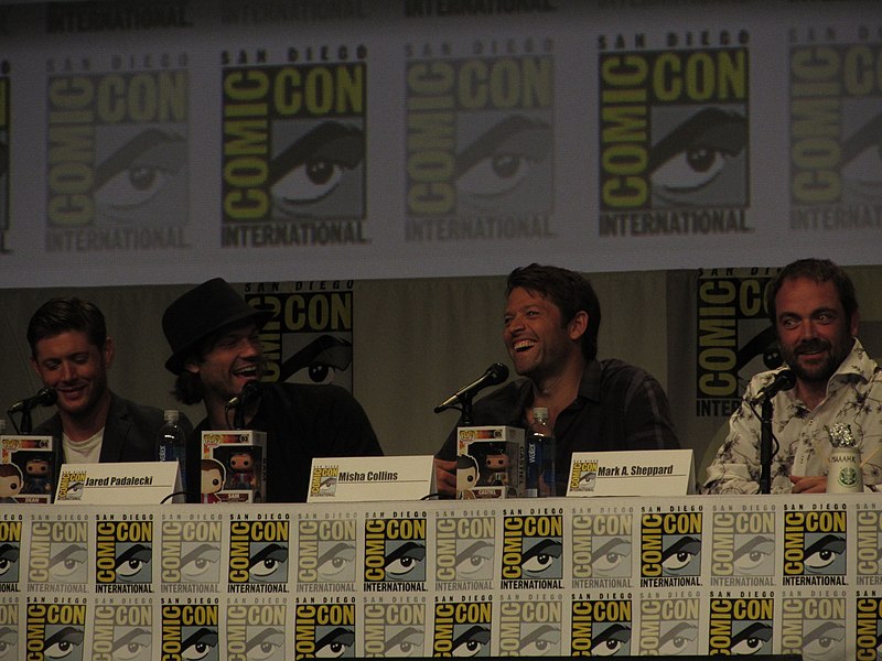 File:Comic-Con 2014 (14592815577).jpg