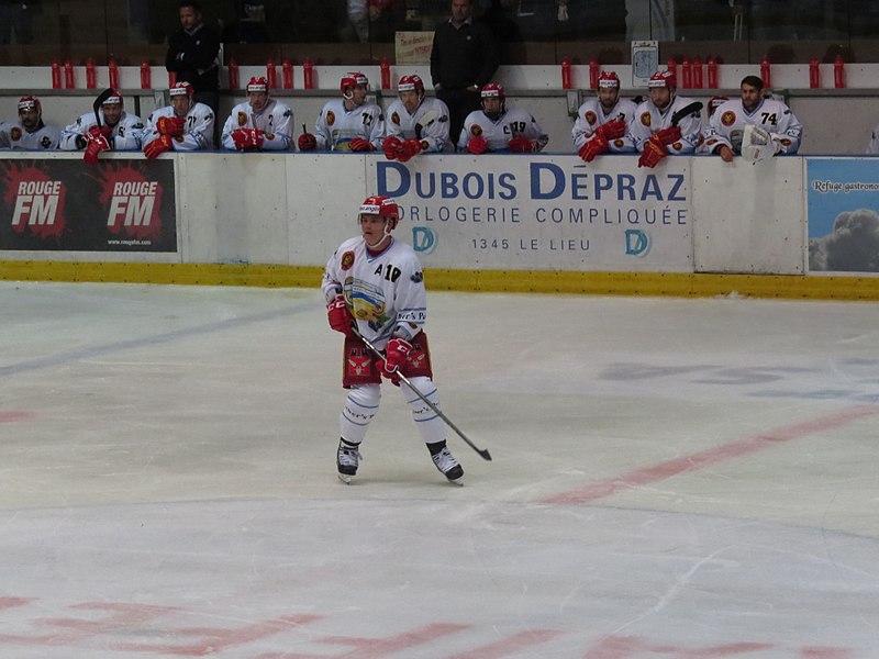 File:Dragons de Rouen - Tigers de Langnau, 8 août 2017 - 64.jpg