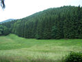 Berg der abgegangenen Schauenburg, Stammburg der Ludowinger