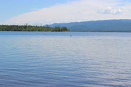 Le lac avec un oiseau sur l'eau.