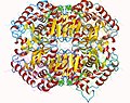 Thumbnail for Lactate dehydrogenase