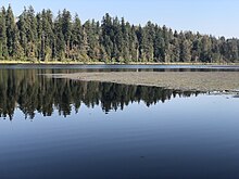 2022-10-01, Spring Lake of King County, Washington, 05.jpg