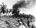 7th Cavalry at Leyte Island, 20 October 1944.