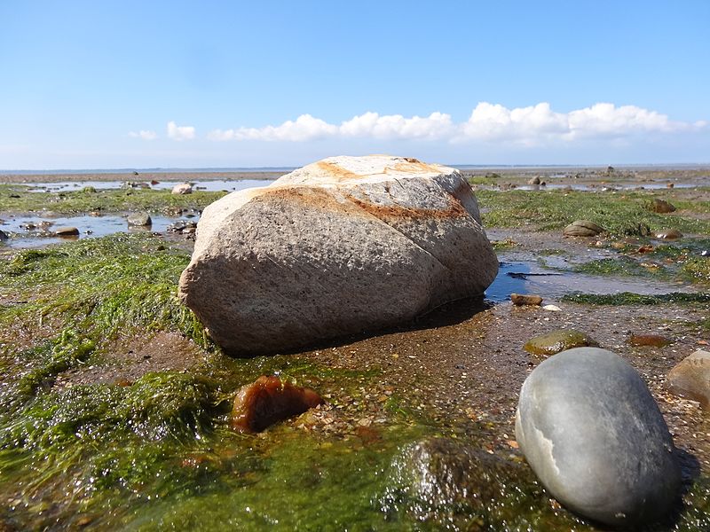 File:Nationalpark Schleswig - Holsteinisches Wattenmeer - bei Föhr - steinig 01.jpg